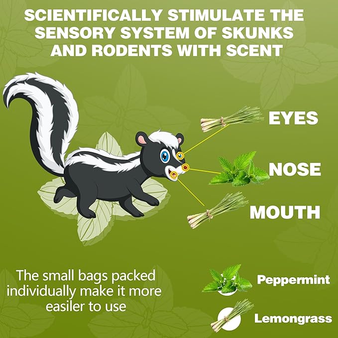 36 Pack Skunk & Raccoon Repellent for Yard, Natural Peppermint Rodent Repellent Ball Keep Skunk, Squirrel, Mouse, Raccoon Away from Yard Garden Lawn, Powerful Skunk Deterrent Outdoor