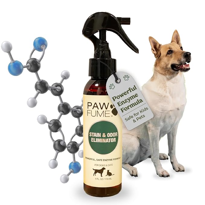 PAWFUME Stain & Pet Urine Odor Eliminator, 1-Pack | Enzymatic quick-dry formula with eco-friendly ingredients for upholstery, fabrics and Carpet Cleaner Spray use