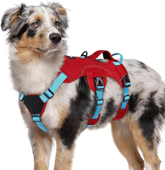 rabbitgoo Escape Proof Dog Harness for Medium, No Pull with Lift Handle | No Escape, Full Soft Padded, Reflective Adjustable Vest, Leash Clip for Walking Hiking Training, Sky Blue & Red, Medium