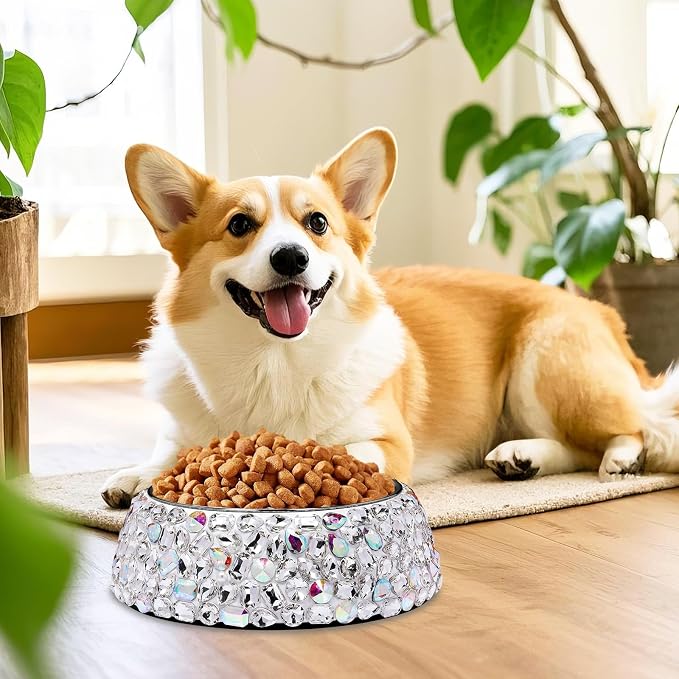 SlowVibes Diamond Stainless Steel Dog Cat Bowl, Detachable, 12 oz | Big rhinestone metal food or water bowl for small dogs and cats, rust-resistant non-slip puppy dish, sparkle pet essential