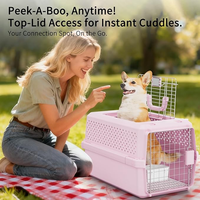 RIZZARI Hard-Sided Pet Carrier for Medium Dogs & Cats, 24" Travel Crate | Airline-Friendly Size,Durable Hard-Sided,Ventilation Openings,Secure Metal Wire Door,Comfortable Carry Handle