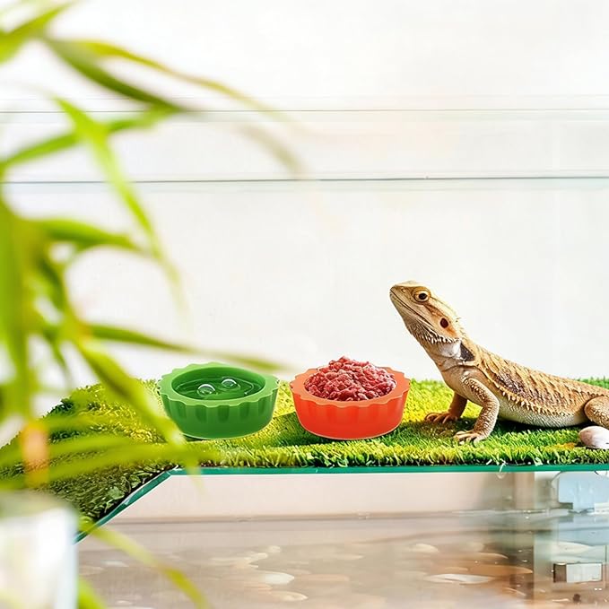 12 Pack Crested Gecko Food Dish Small Silicone Reptile Feeding Cups Water Bowl, Easy Clean Crested Gecko Tank Accessories for Hermit Crab, Tarantula, Isopods, Snails and Lizard(6 Colors)
