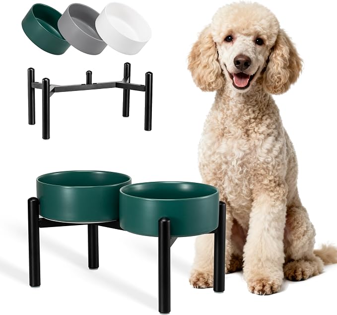 Raised Ceramic Dog Bowl Set with Stand, 7.5 Cups Elevated Dog Food Stand | 8.4'' Double Dog Food and Water Bowl Set, Non-Slip Dog Feeding Dishes for Small Breeds and Cats, 59.2 OZ, Green