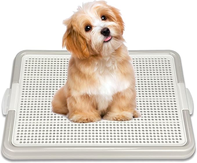 Dog Pee Pad Holder Tray, Puppy Potty Training, 22.5"x16.5", PP Plastic, Snap Lock, 4 Colors (Gray)