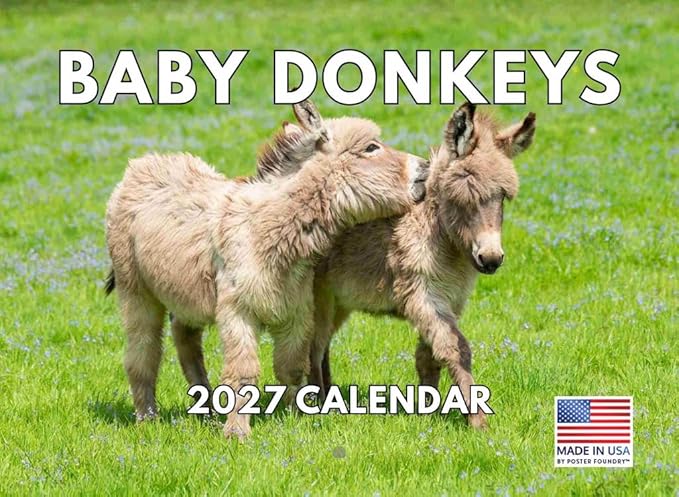 Baby Donkey Calendar 2027 Monthly Wall Calender 12 Month