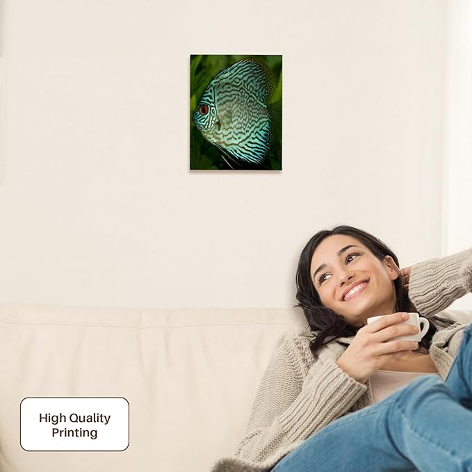 3dRose Blue Exotic Discus Fish Museum Grade Canvas Wrap 8x10