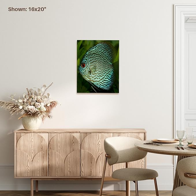 3dRose Blue Exotic Discus Fish Museum Grade Canvas Wrap 16x20