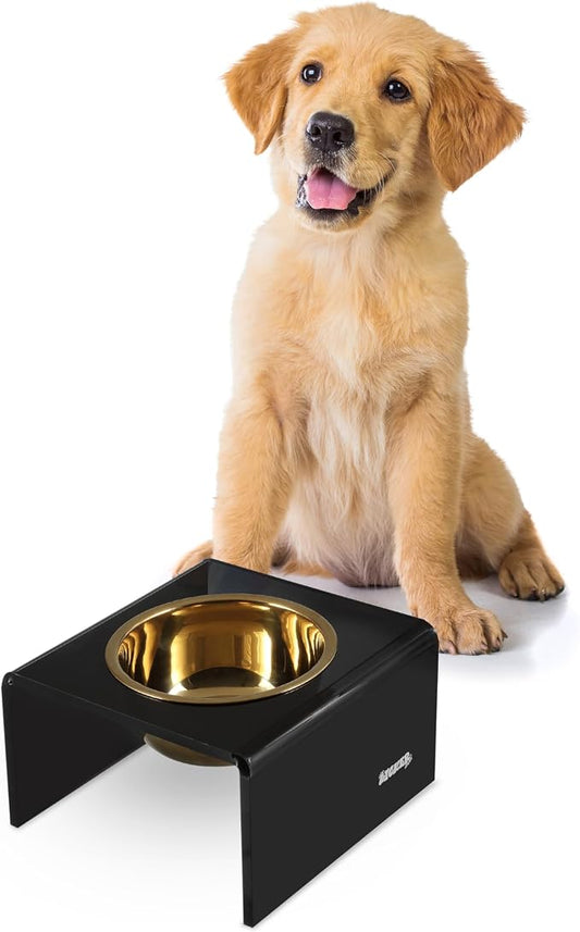 DBL2002B Keaton 5" Small/Medium Modern Acrylic Rectangular Elevated Pet Feeder with 20oz 1-Stainless Steel Bowl, Black/Gold