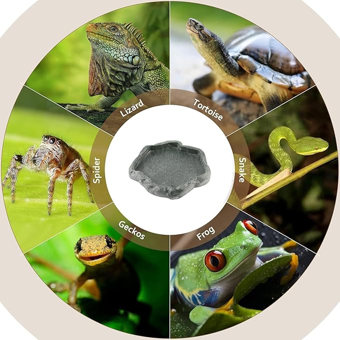AYNEFY Reptile Food Water Rock Bowls,Resin Reptile Feeder Lizard Feeding Dish Amphibian Feeder Bowl Terrarium Decor for Bearded Dragons Leopard Gecko Frog Snake(Emerald
