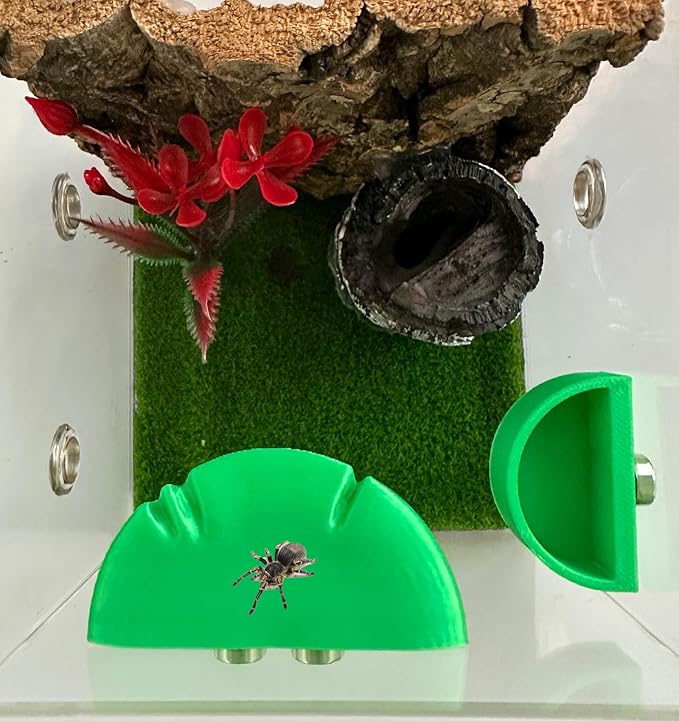 2 Pack Jumping Spider Accessories Mushroom Ledges & 1 Pack Water Bowl with Magnets for Spoods Jumping Spiders Magnetic Ledge Ladder Pet Spider Accessories