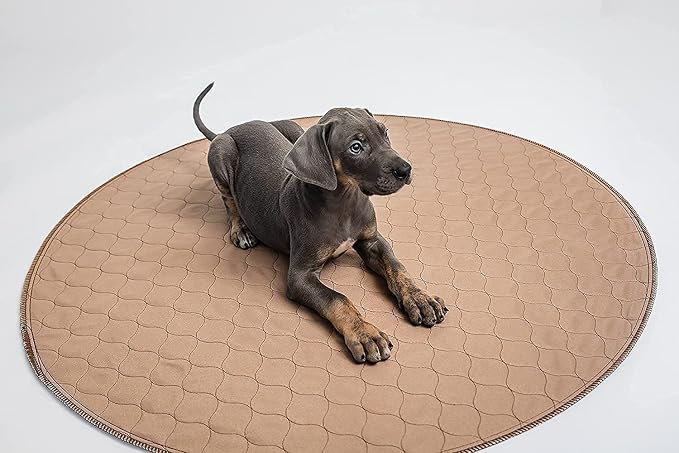 Reusable Dog Pee Pad, Washable Waterproof Round 60 in Mat, 1 Pack | 60-inch round washable waterproof pee pad, reusable slip-resistant mat for dog potty training and whelping with quick-dry