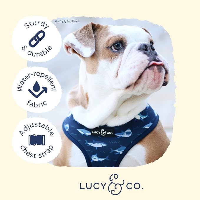 Reversible Dog Harness Walking Halter - Best Designer Pet Harnesses for Extra Small Medium Large XL Dogs Plus Pug Breeds - Padded Adjustable Puppy Vest for Easy Walking (X-Large, Shark Attack)