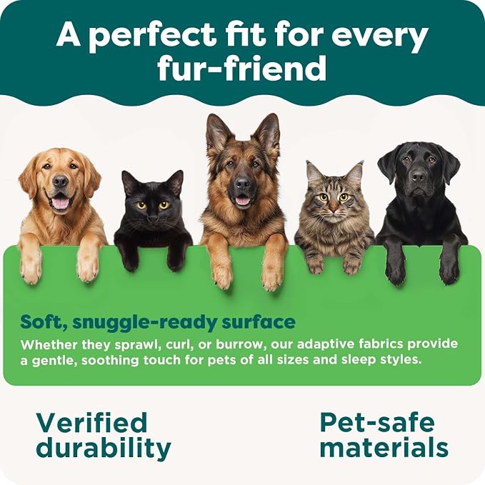 Furhaven Orthopedic Dog Bed for Large Dogs w/ Removable Bolsters & Washable Cover, For Dogs Up to 95 lbs - Plush & Suede Sofa - Espresso, Jumbo/XL