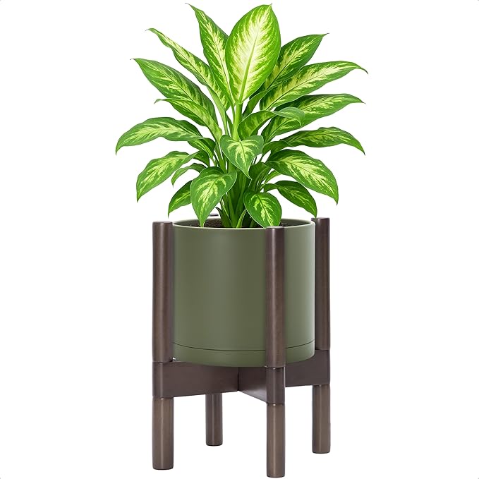 D'vine Dev Plastic Pot with Walnut Wood Stand, Olive, 8 in, 55-C-I-3 | Mid-Century Inspired Design, Elevated Plant Display, Clean Lines, Sturdy Support, Modern Space-Saving Style