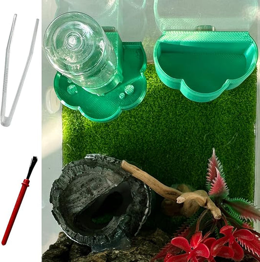 Jumping Spider Water Dispenser, Magnetic Hanging Feeder Dish with Cleaning Brush and Tweezers,Fits for Jumping Spiders,Arboreal Animals, and Other Small Animal Accessories (Green, 8ml)