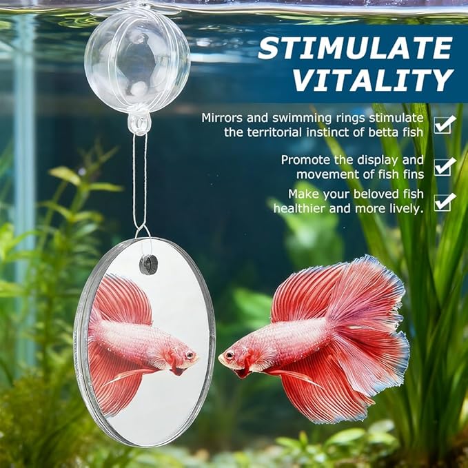 2pcs Bettas Fish Enrichment Toys Ring with Mirror & 2 Bio Filter Balls Betas Exercise Loop Toys Bett a Fish Exercise Ring Suitable for Fishs Tank, Aquarium(Color:White)