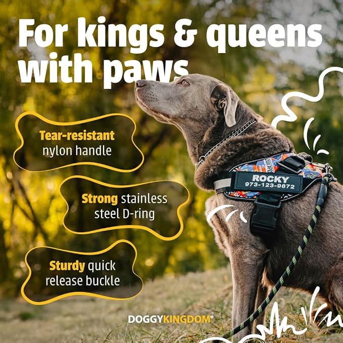 Personalized Dog Harness with Custom Name Patches, Adjustable Reflective No Choke Dog Vest with Handle for Medium Sized Dog, Purple, M