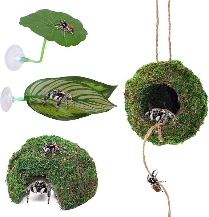 Big Jumping Spider Hide Kit, Jumping Spider Enclosures Habitat Accessories, Climbing Spiders Resting Hideout with Suction Cup Rope Bridge Leaf Ledge for Tarantula Small Insects