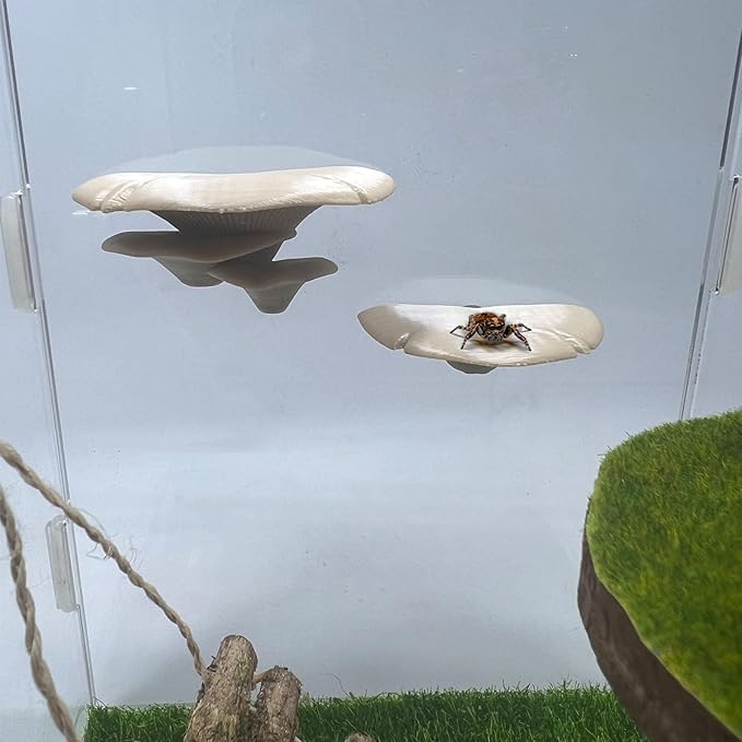 Jumping Spider Mushroom Shelf, Magnetically Concealed Jumping Spider Habitat,Serves As Enclosure Decorate Accessories for Spider Climbing Feeding and Platforms (Simulated wood)
