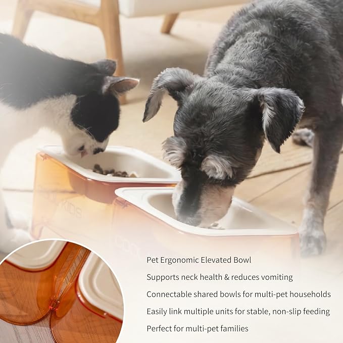 Cool Kids Elevated Cat Bowls Raised Slanted Eco Fiber Disposable Refill | Food-Grade Degradable Fiber, Cat Bowls for Small Dogs, Disposable No-Clean, Fits Camping & Travel, Multi-Pet & Stray Feeding