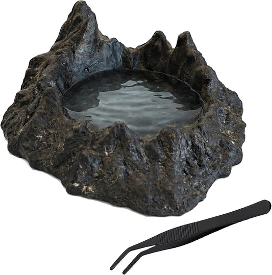 Reptile Water and Food Bowl with Feeding Tweezers Volcanic Rock Style Cement Feeding Dish for Bearded Dragon Leopard Gecko Lizard and Snake Non-Tip Terrarium Decor Landscape Accessory (Black)