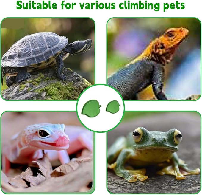 2pcs Leaf Reptile Food Water Bowl,Bowls Turtle Feeding Dishes,Tortoise Habitat Accessories Food and Water Feeder,for Tortoises, Lizards, Geckos and Other Reptiles 2 Sizes