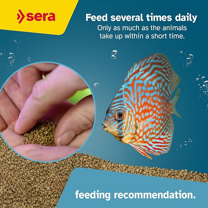 sera Discus ImmunPro Nature 4 oz. | Complete Growth Food for Discus Fish | with Probiotics & Astaxanthin | No Dyes & Preservatives Consisting of Soft Granules | Supports Immune System