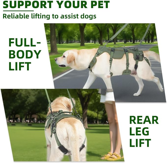 PUPTECK Dog Lift Harness for Medium Large Sized Dog, Rehabilitation Sling for Hind Leg Support, Multifunctional Mobility Assistance Harness for Old, Disabled, Joint Injuries, Paralysis Dog, Green XL