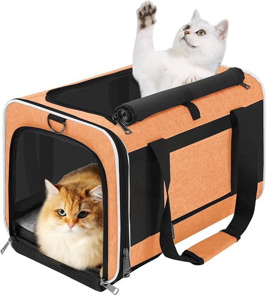 GAPZER Large Cat Carrier Soft, Collapsible Travel Pet Carry Bag, Small Dogs | Large Kitty Cat 20 lbs Maine Coon, Top Load Transport Small Puppy Dog Kennel, Yorkie Little Dog 10lbs, Sturdy Fabric Orange