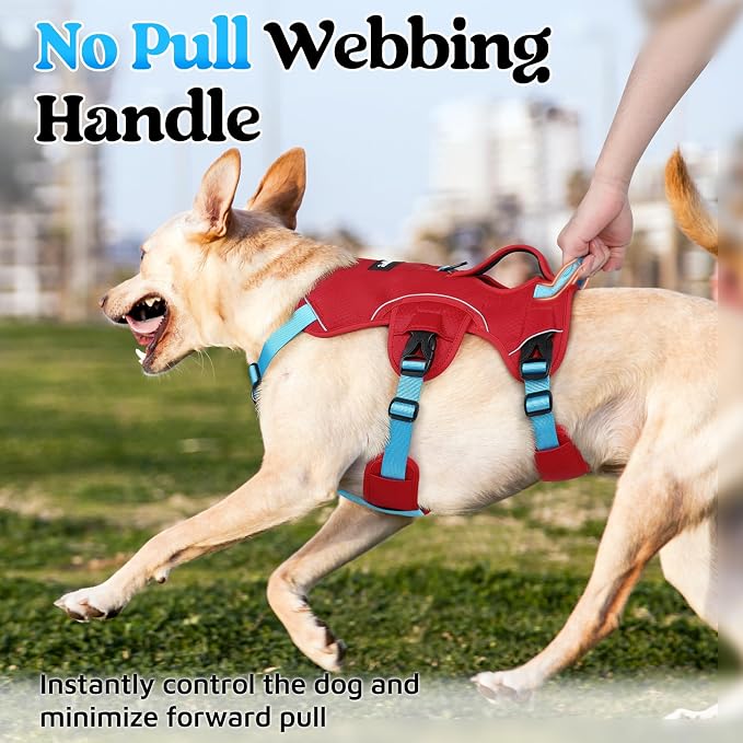rabbitgoo Escape Proof Dog Harness for X-Large, No Pull with Lift Handle | No Escape, Full Soft Padded, Reflective Adjustable Vest, Leash Clip for Walking Hiking Training, Sky Blue & Red, X-Large