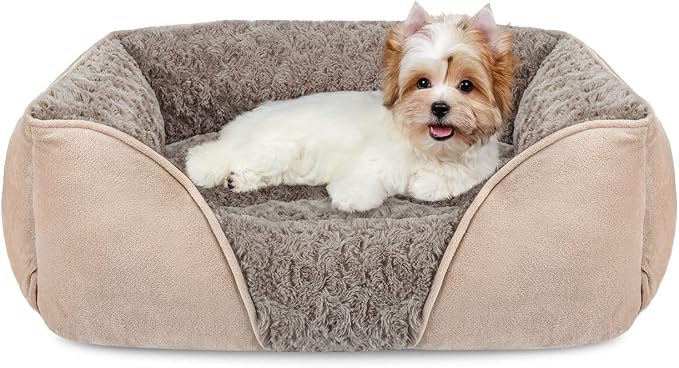 Small Dog Bed for Medium to Large Dogs - Rectangle, Orthopedic, Soft, Calming, Durable Pet Cuddler with Anti-Slip Bottom (20"x19"x6")