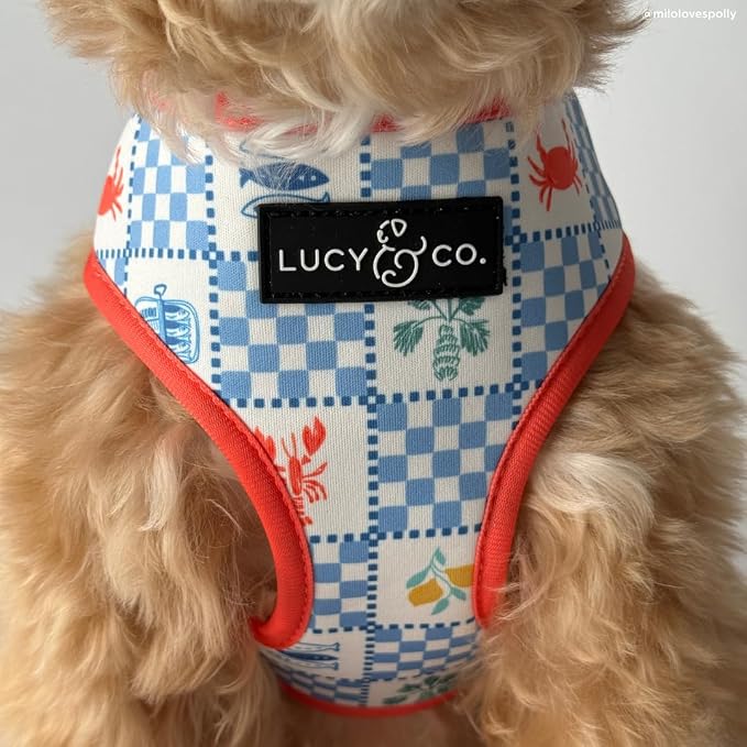 Lucy & Co. Sunny in Sicily Reversible Dog Harness, Adjustable Comfort Fit with Dual Leash Attachments, Medium