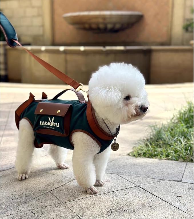 Wakytu Dog Lift Harness Dog Carrier Sling for Small Dogs & Cats,XS | stylish puppy sling carrier with handle & pocket,adjustable leash,walking & travel