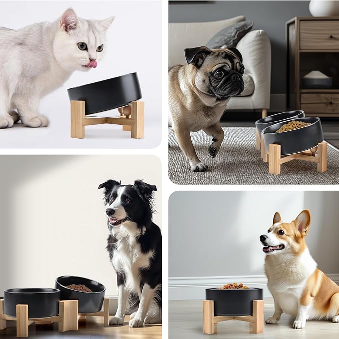 SPUNKYJUNKY 15° Slanted Ceramic Dog and Cat Bowl with Wooden Stand, Tilted Bulldog Food and Water Bowl No Slip Non-Spill for Cats Medium Dogs Big Face Pets 28.7 OZ (3.6 Cups, Black × 2)