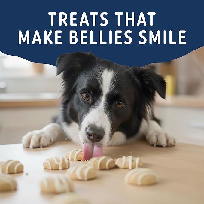 Natural Balance Yo-Gut Bites Crunchy Dog Treats with Real Oats & Blueberries, Greek Yogurt Drizzle, Probiotics for Digestive Support, 10oz Bag
