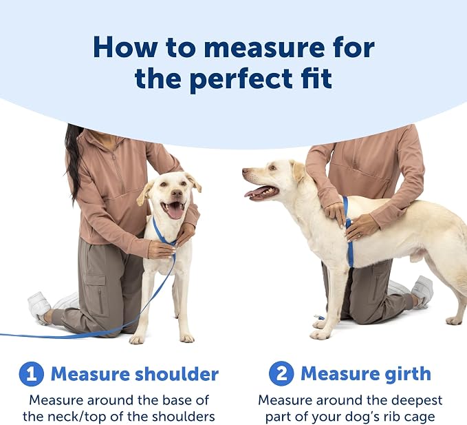 PetSafe Easy Walk Comfort No Pull Dog Harness, Green Gingham, Medium | Stops Pulling on First Use with Front Martingale Loop, Padded Comfort, 5-Point Adjustable Fit