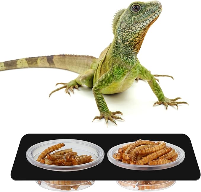 EBOOT 500 Pcs Plastic Feeder Cups - Reptile Water & Food Bowls for Gecko, Lizards, Tarantula & Other Small Pets (0.5oz)