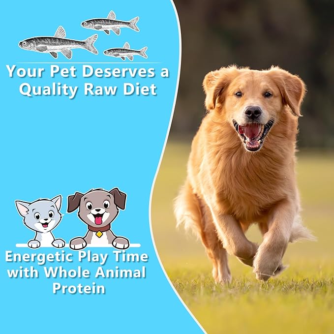 Freeze Dried Minnows Cat & Dog Treats, 6.5 oz, Single Ingredient, Grain Free, All Life Stages