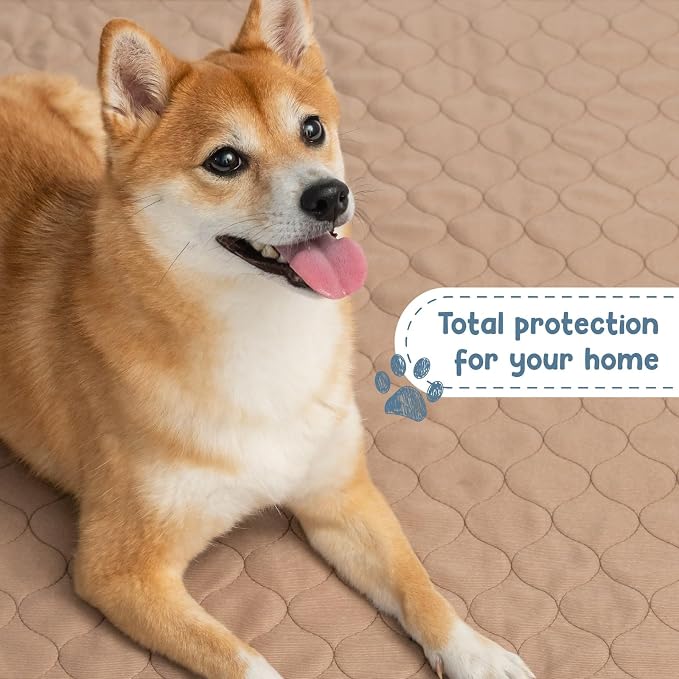 Washable Dog Training Pads - Reusable Waterproof Whelping - 41x41in | Sanitary puppy pee pads with rounded corners for pet essentials, laminated lightweight durable design for easy cleaning