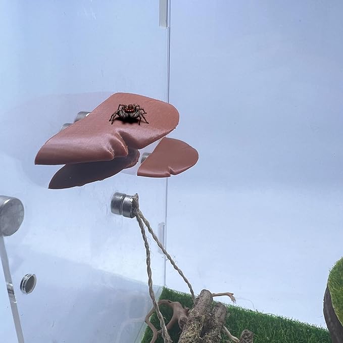 Jumping Spider Mushroom Shelf, Magnetically Concealed Jumping Spider Habitat,Serves As Enclosure Decorate Accessories for Spider Climbing Feeding and Platforms (Brown)