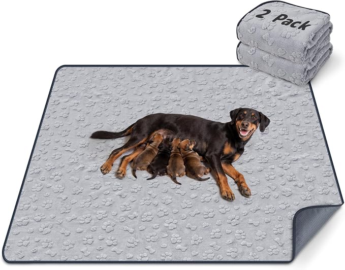 LOOBANI 2 Pack Extra Large Washable Pee Pads for Dogs 54"x54", Gray | Non-Slip Reusable Dog Mat, Super Absorbent & Waterproof Whelping Pads For Floor, Bed, Incontinence, Housebreak, Leak-Proof
