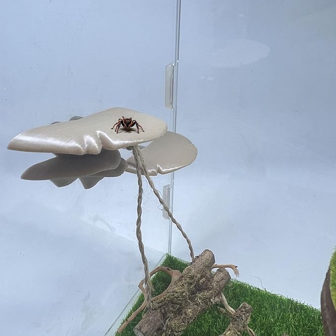 Jumping Spider Mushroom Shelf, Magnetically Concealed Jumping Spider Habitat,Serves As Enclosure Decorate Accessories for Spider Climbing Feeding and Platforms (Simulated wood)