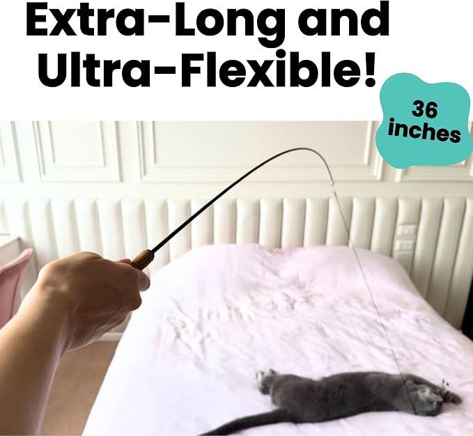 Forever Stick 1-Pack - The Unbreakable Cat Wand Toy, Durable Cat Toy Wand, Extra Long Cat String Toy, Cat Fishing Pole Toy for Bored Indoor Adult Cats, Cat Stick Toy, Cat Feather Wand, Cat Teaser Wand