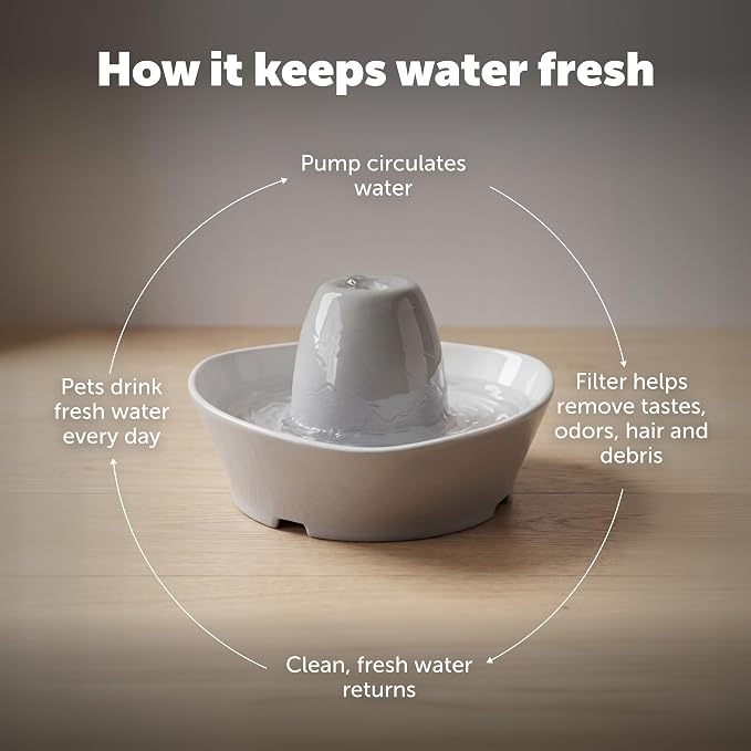 PetSafe Creekside Ceramic Pet Fountain, 60 Oz, Extra Filters | 60 Oz Capacity, Whisper-Quiet Flow, Includes 12 Extra Carbon & 2 Extra Foam Filters, Dishwasher Safe, Cats & Small Dogs
