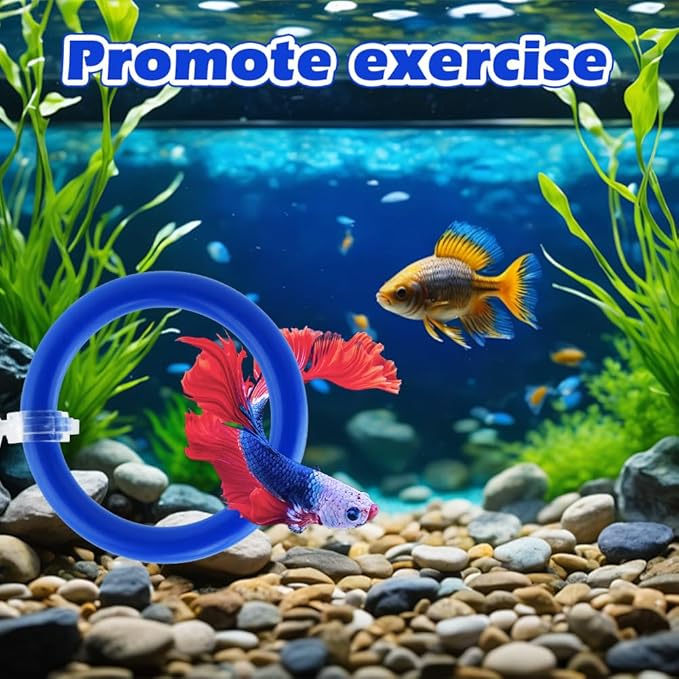 2pcs Bettas Fish Enrichment Toys Ring, with Mirror/Floating Ball, Exercise Floating Mirrors and Training Ring for Fish Tank, Aquarium Feeding Rings Accessories