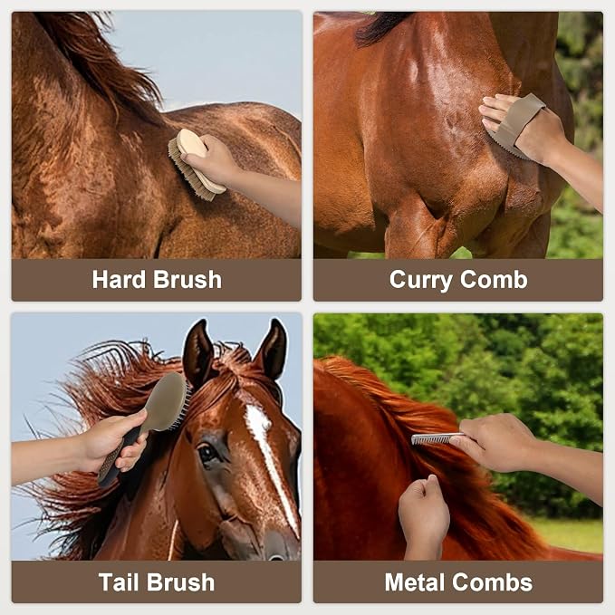 Horse Grooming Kit 14 Pieces, Horse Brushes for Grooming Supplies Set | Includes Curry Comb, Hoof Pick, Gloves & Mane Tools Durable Grooming Set for Bathing, Shedding and Daily Horse Care