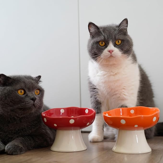 4PCS Multi-Color Mushroom Cat Bowl Set, Elevated Ceramic Bowls for Cats | Multi-Color, Cute, Elevated, Ceramic, Whisker Friendly, Anti Vomiting