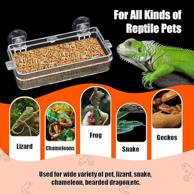 Reptile Feeder Chameleon Bowl 2 Pcs Anti-Escape Food Dish Bowl with Suction Cup for Chameleon Iguana Lizard Reptile Food and Water Feeding (White, M)