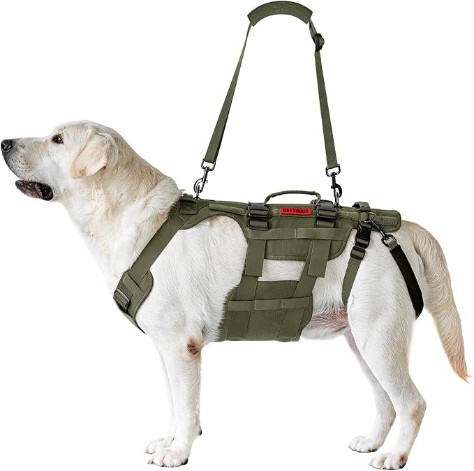 OneTigris Dog Lift Harness for Large Dogs, Dog Hip Support Brace, Full Body Lifter with Handles Invictus Multifunctional Mobility Assistance Vest for Back Legs (Green, Medium)