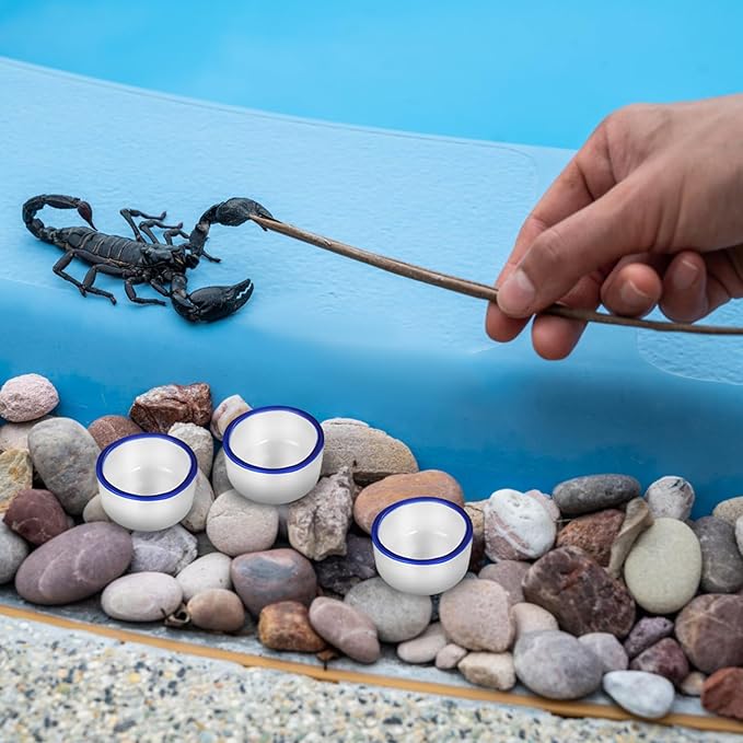 SUPVOX 12pcs Small Ceramic Water Basins and Spiders, Reptile Feeding Bowls for Terrarium, Sturdy Ceramic Food and Drinking Containers for Crawling Pets